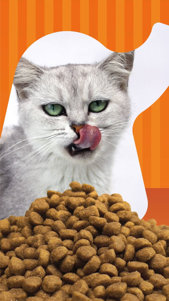 品 零食界的“黑科技”宠物冻干CQ9电子最新网站象乡宠物食