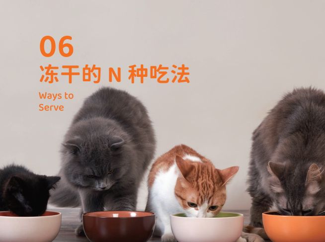 品 零食界的“黑科技”宠物冻干CQ9电子最新网站象乡宠物食(图5)