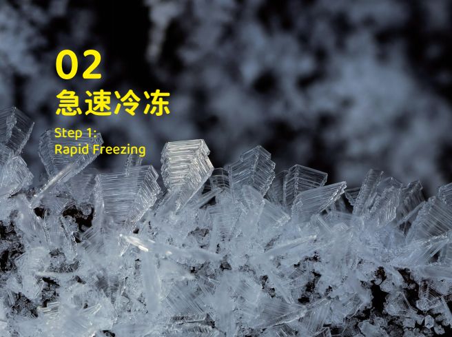 品 零食界的“黑科技”宠物冻干CQ9电子最新网站象乡宠物食(图7)