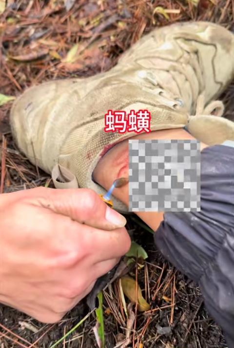 救队伍再次集结上山把范围定在4个山高点CQ9电子app走失已超90小时！搜(图6)